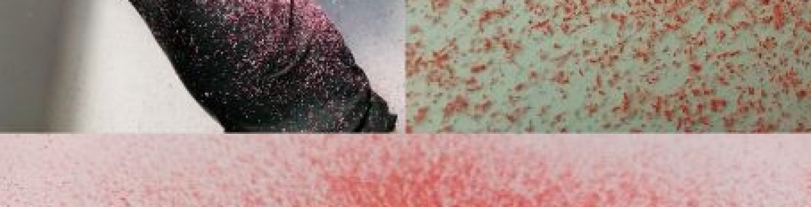 Статья Пил в манікюрному кабінеті. Частина 1