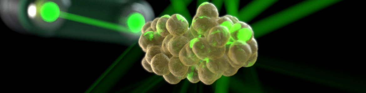 Статья Лазер Emerald Erchonia проти жирових відкладень